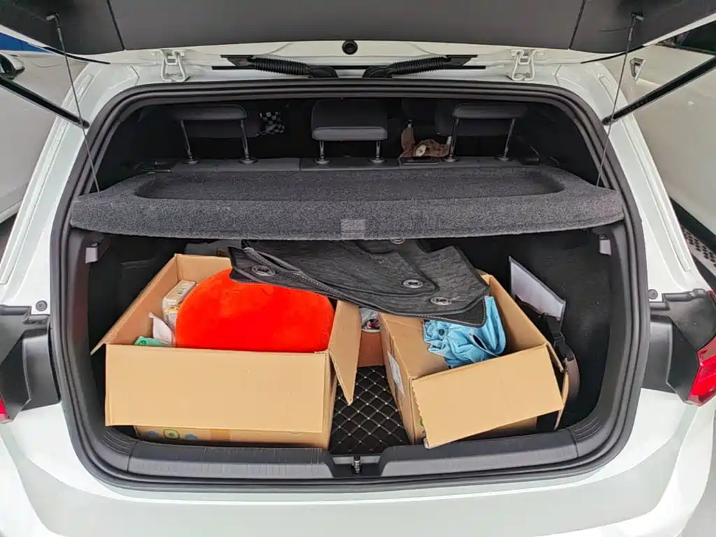 Volkswagen Golf — миниатюра 19