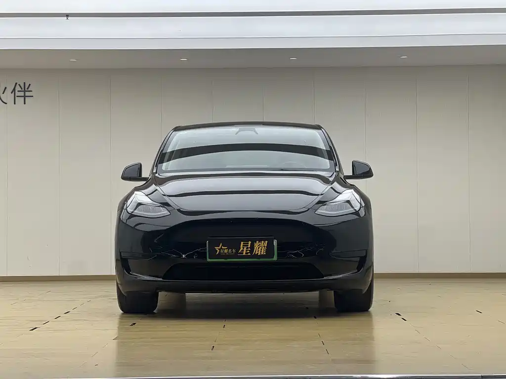 Tesla Model Y — миниатюра 2