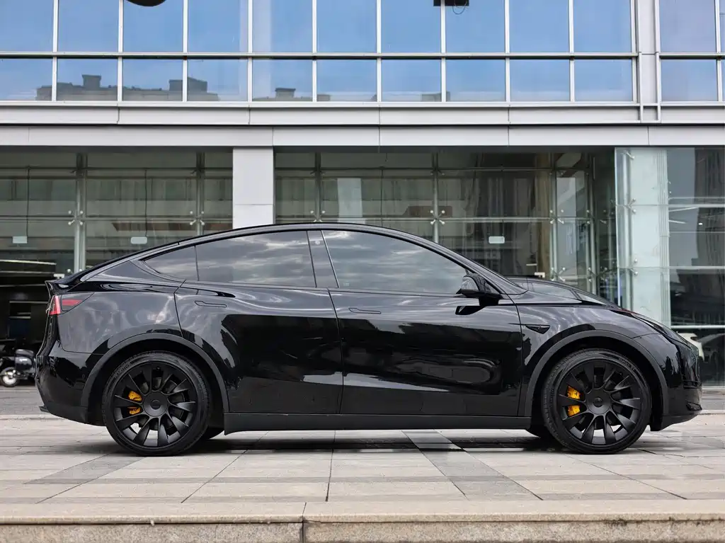 Tesla Model Y — миниатюра 7