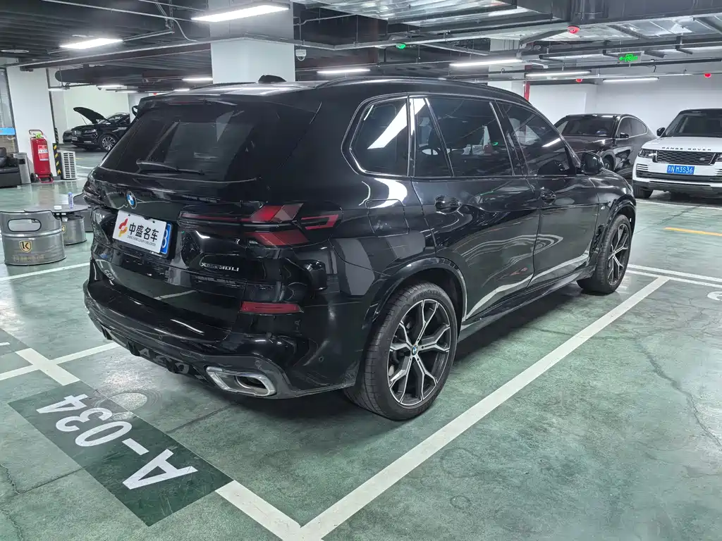 BMW X5 — миниатюра 25