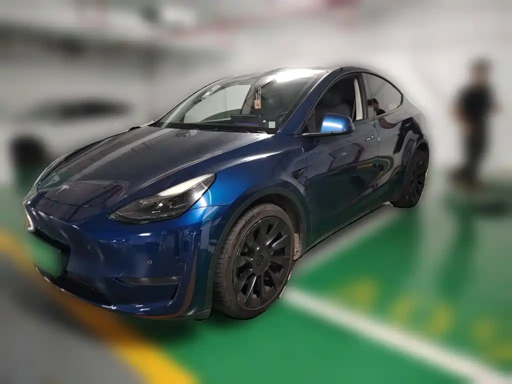 Tesla Model Y — миниатюра 2