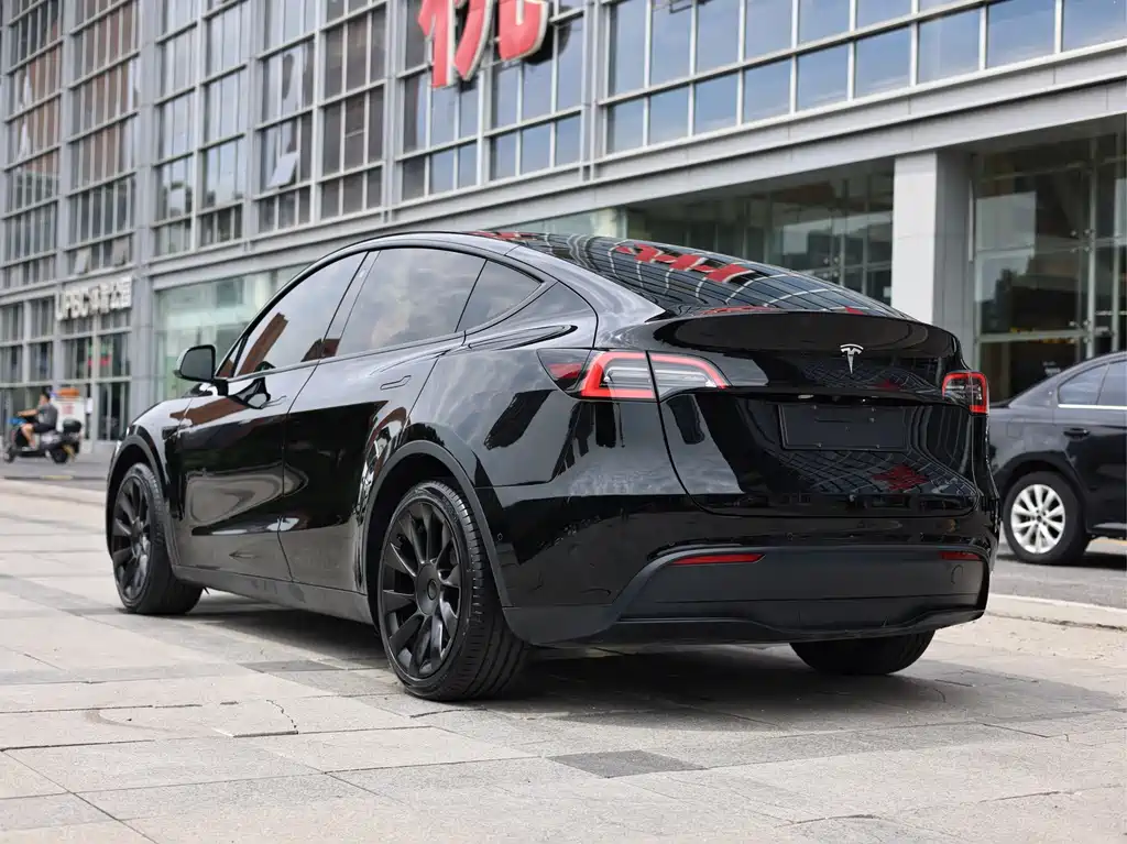 Tesla Model Y — миниатюра 5