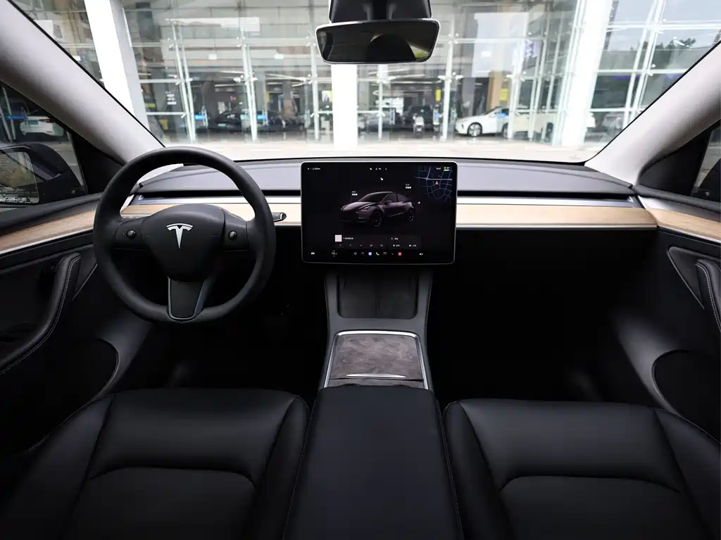 Tesla Model Y — миниатюра 17