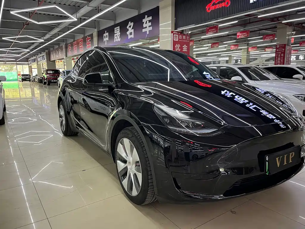 Tesla Model Y — миниатюра 13