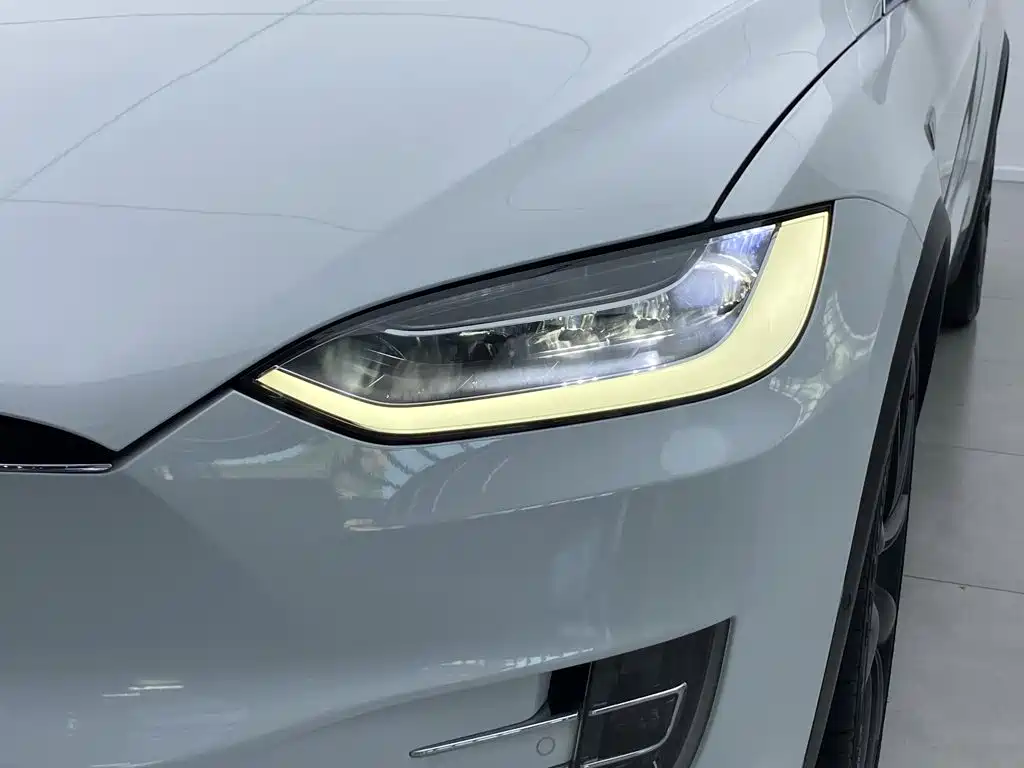 Tesla Model X — миниатюра 7