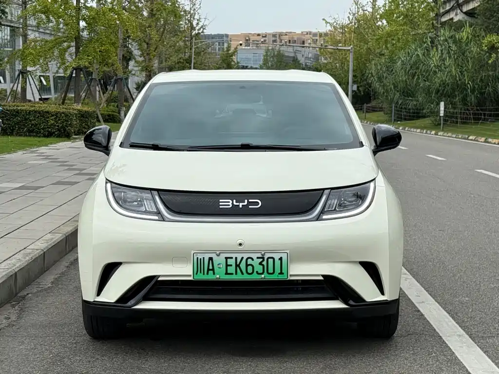 BYD Dolphin — миниатюра 2