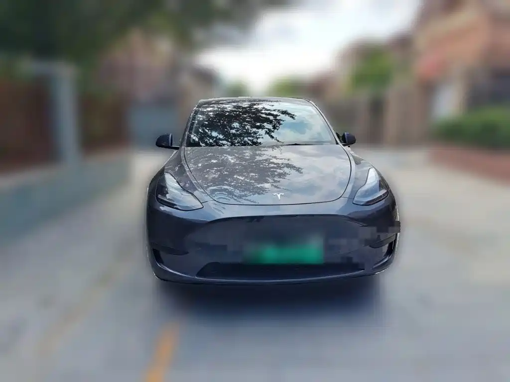 Tesla Model Y — миниатюра 24