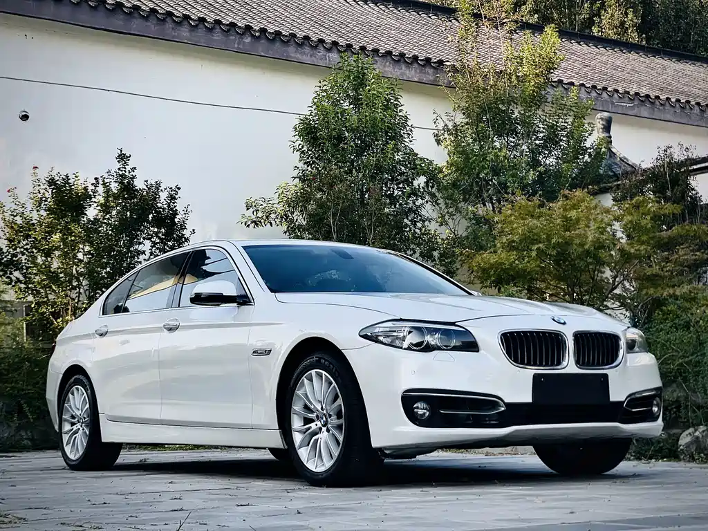 BMW 5 Series — миниатюра 3