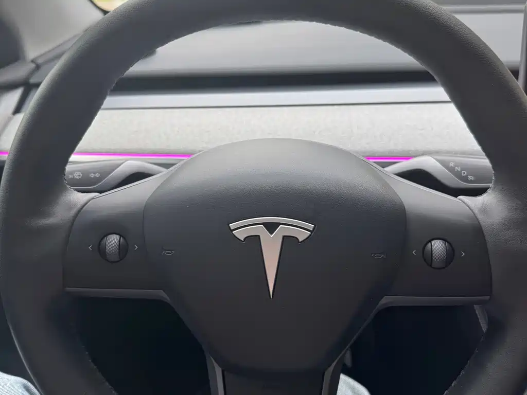 Tesla Model Y — миниатюра 7