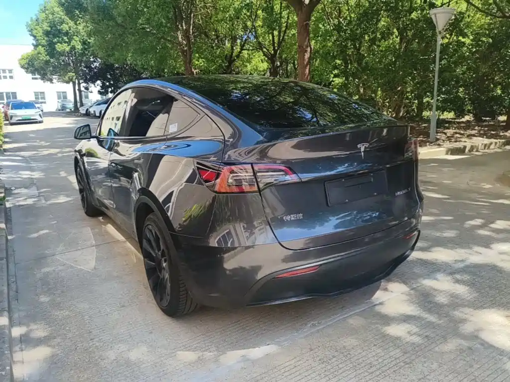 Tesla Model Y — миниатюра 5