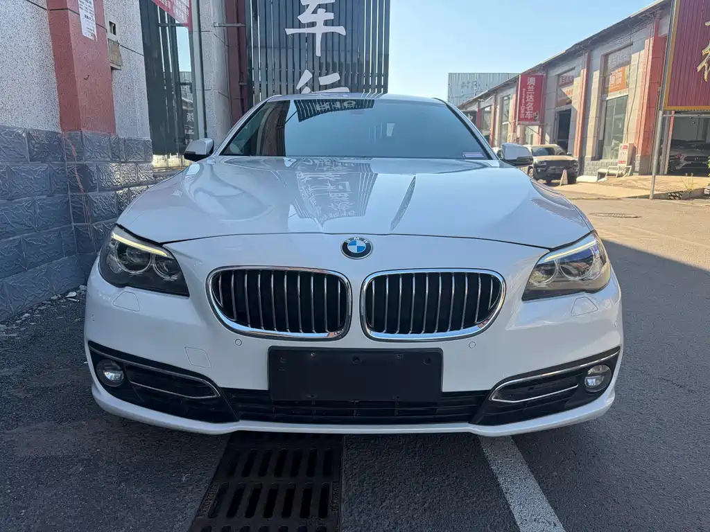 BMW 5 Series — миниатюра 2