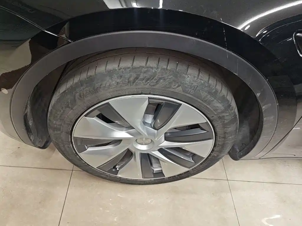 Tesla Model Y — миниатюра 23