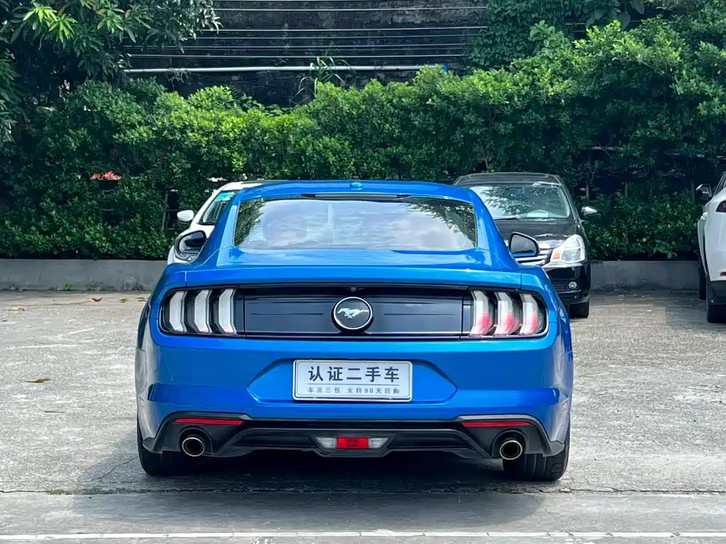 Ford Mustang — миниатюра 8