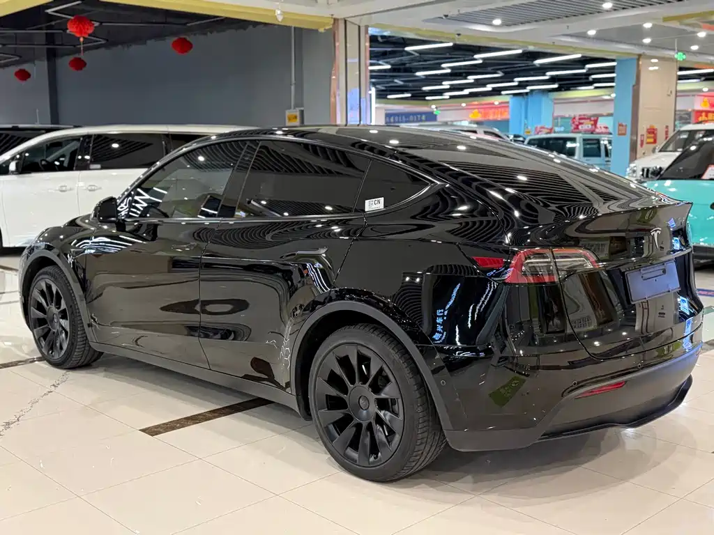 Tesla Model Y — миниатюра 7
