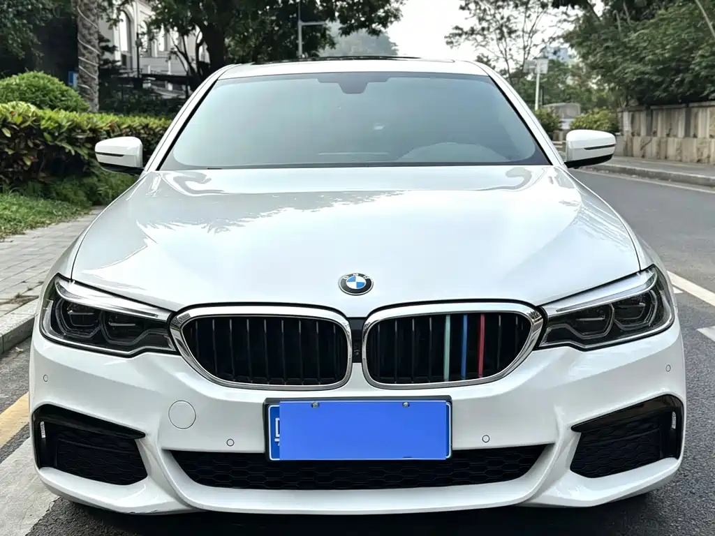 BMW 5 Series 5 2020 530Li Lead M Sport
