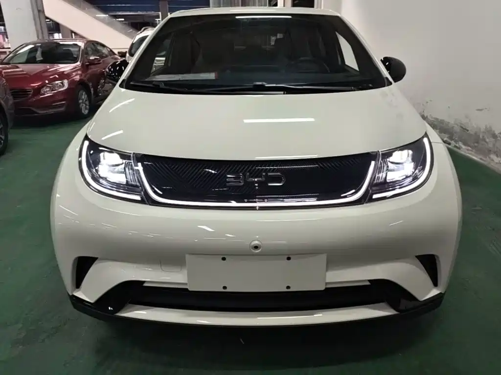 BYD Dolphin — миниатюра 3