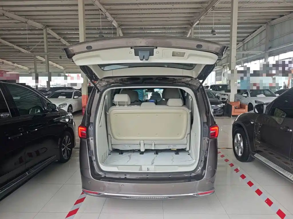 Buick GL8 — миниатюра 19