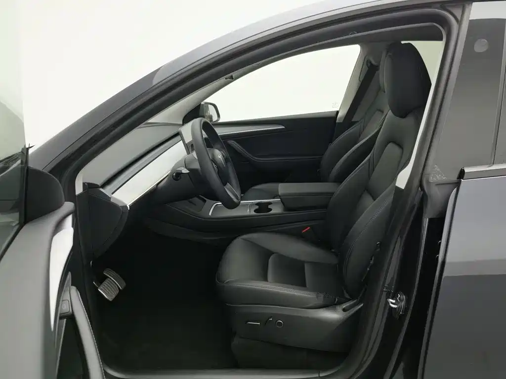 Tesla Model Y — миниатюра 10