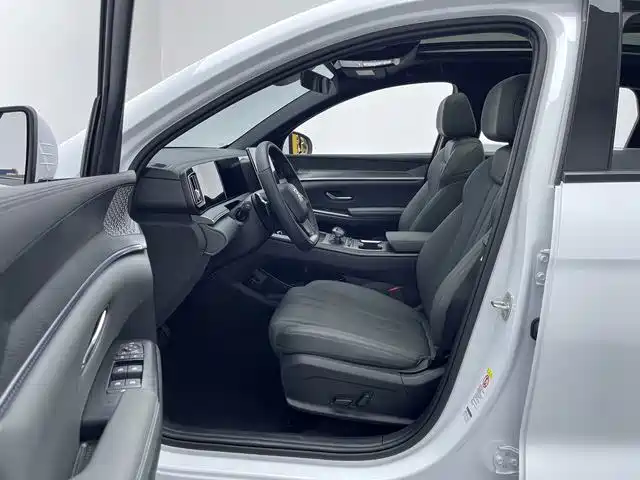 BYD Pro — миниатюра 12