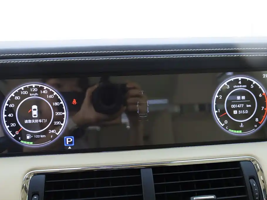 Hongqi Hongqi Golden Sunflower Guoli — миниатюра 27