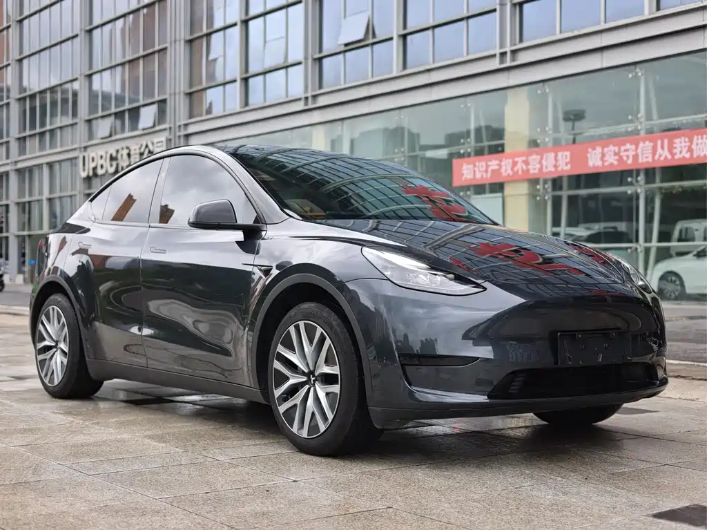 Tesla Model Y — миниатюра 3