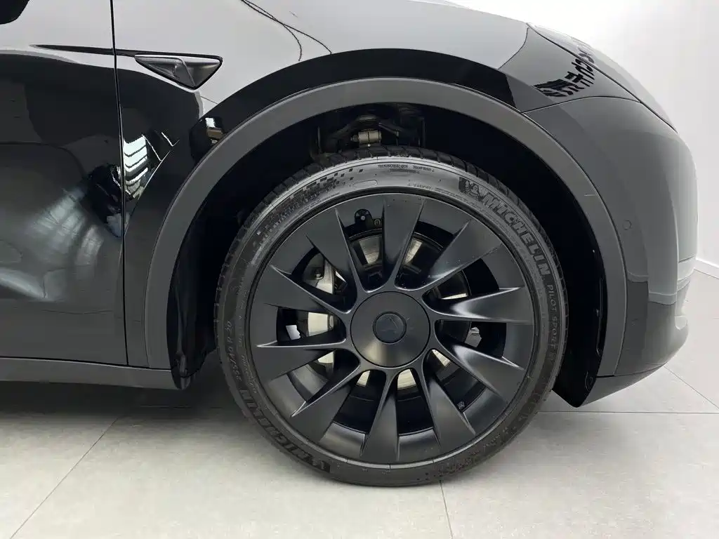 Tesla Model Y — миниатюра 8