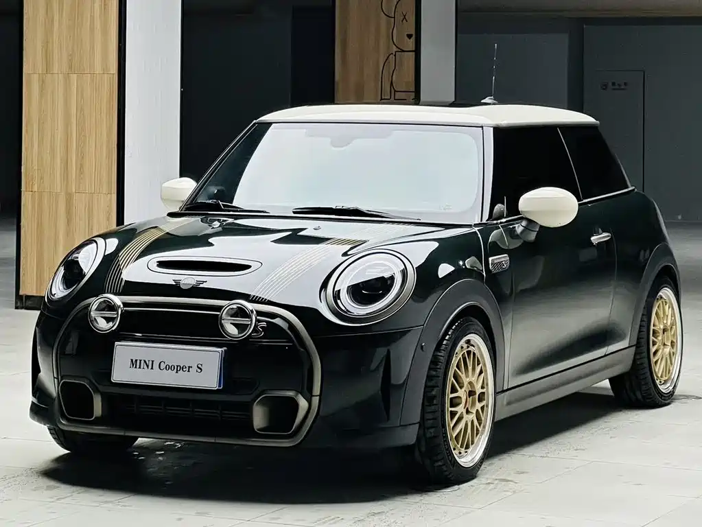 Mini Mini 2022
