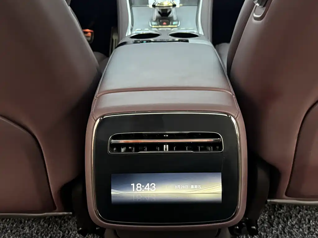 Denza Denza Z9GT — миниатюра 24