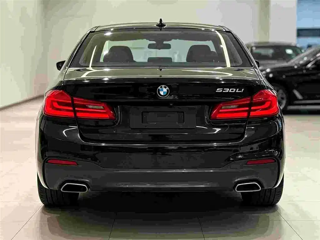 BMW 5 Series — миниатюра 4