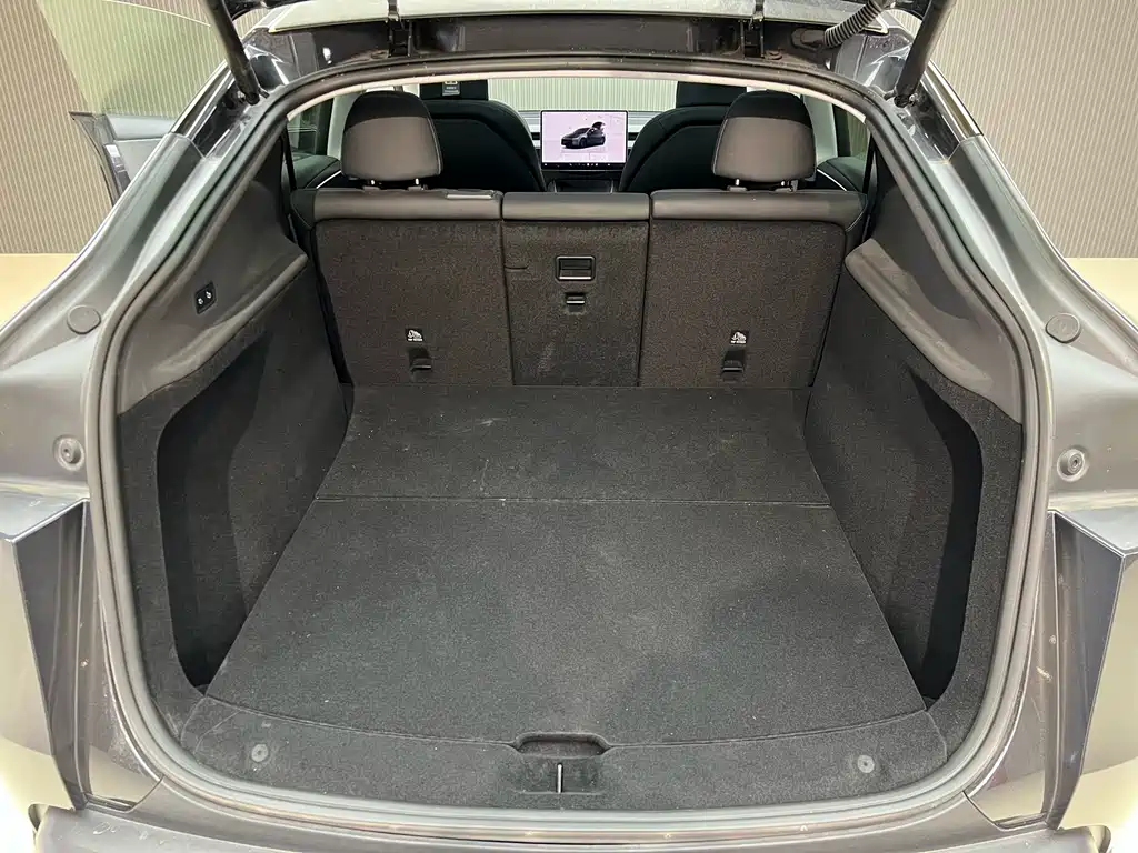 Tesla Model Y — миниатюра 14