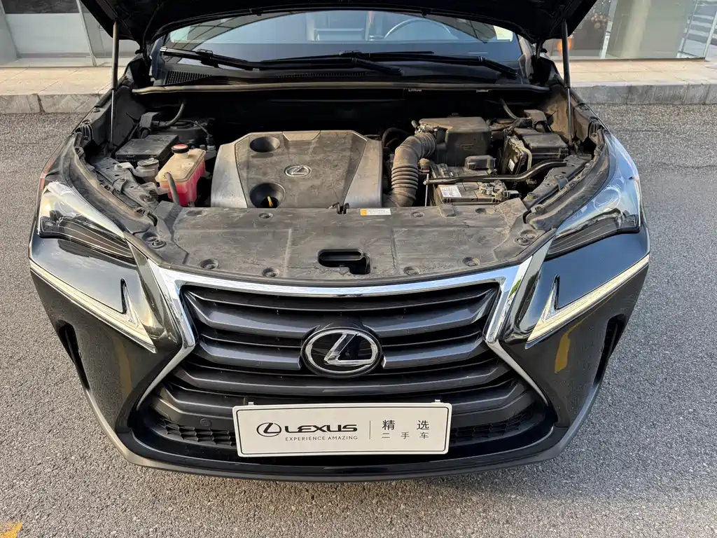 Lexus NX — миниатюра 3