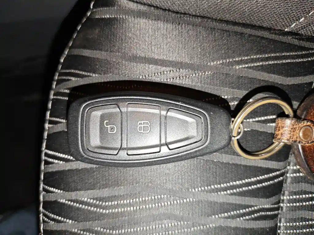 Ford Ecosport — миниатюра 12