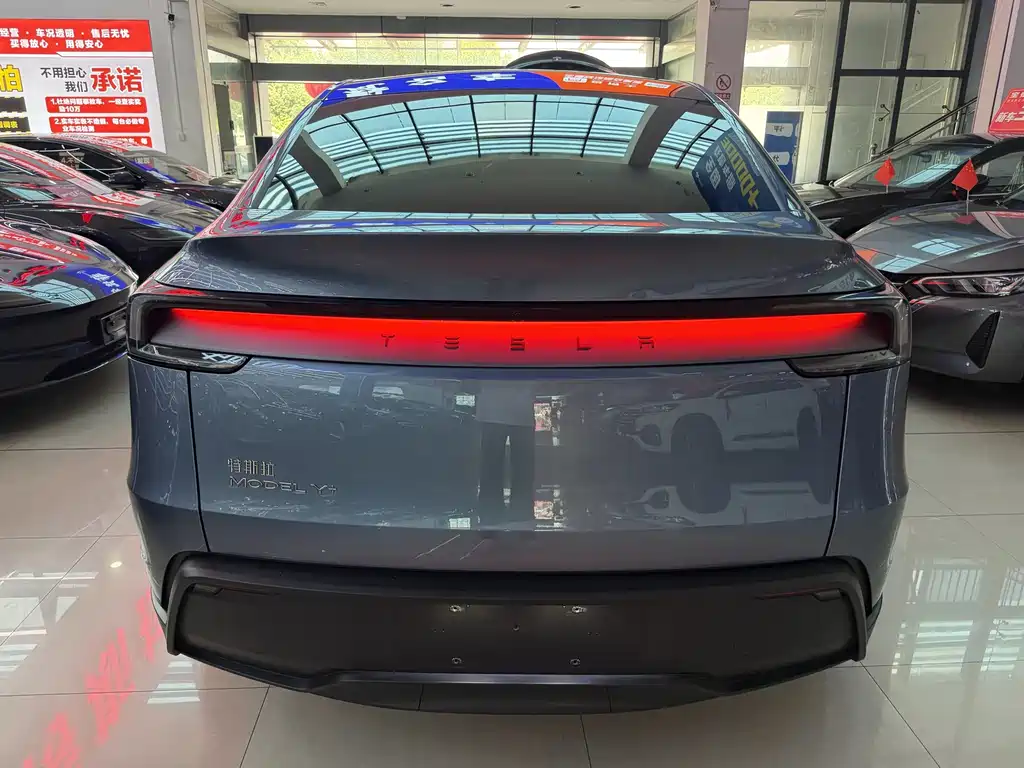 Tesla Model Y — миниатюра 4