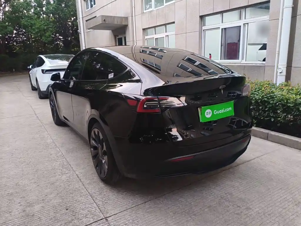 Tesla Model Y — миниатюра 5