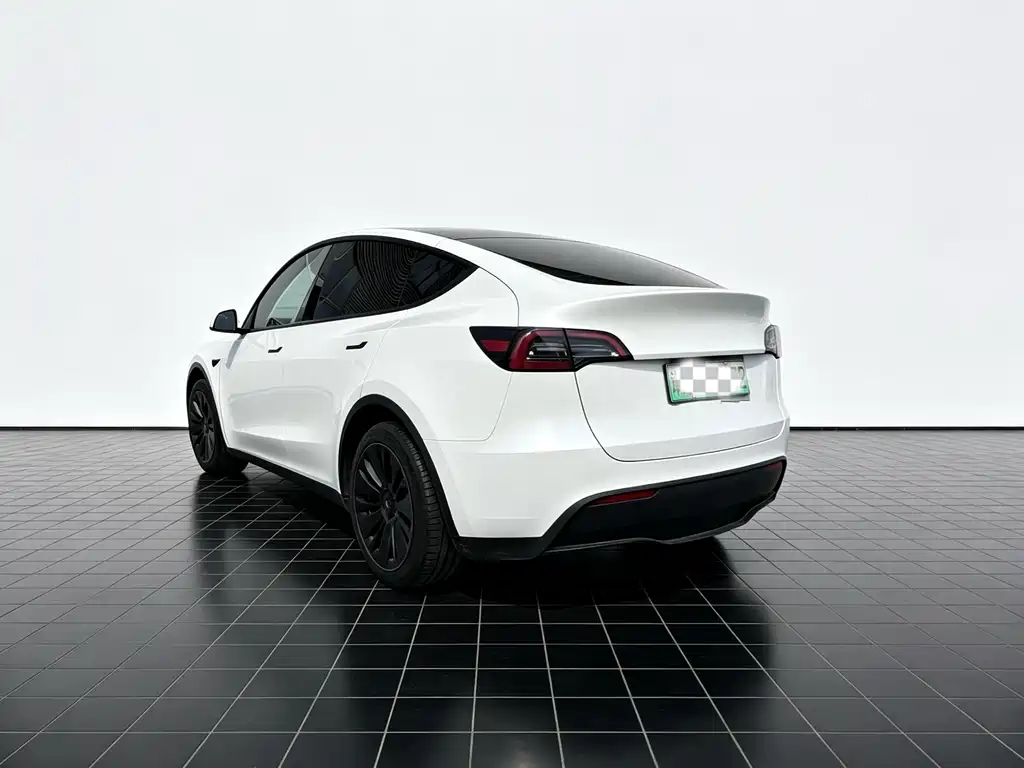 Tesla Model Y — миниатюра 7
