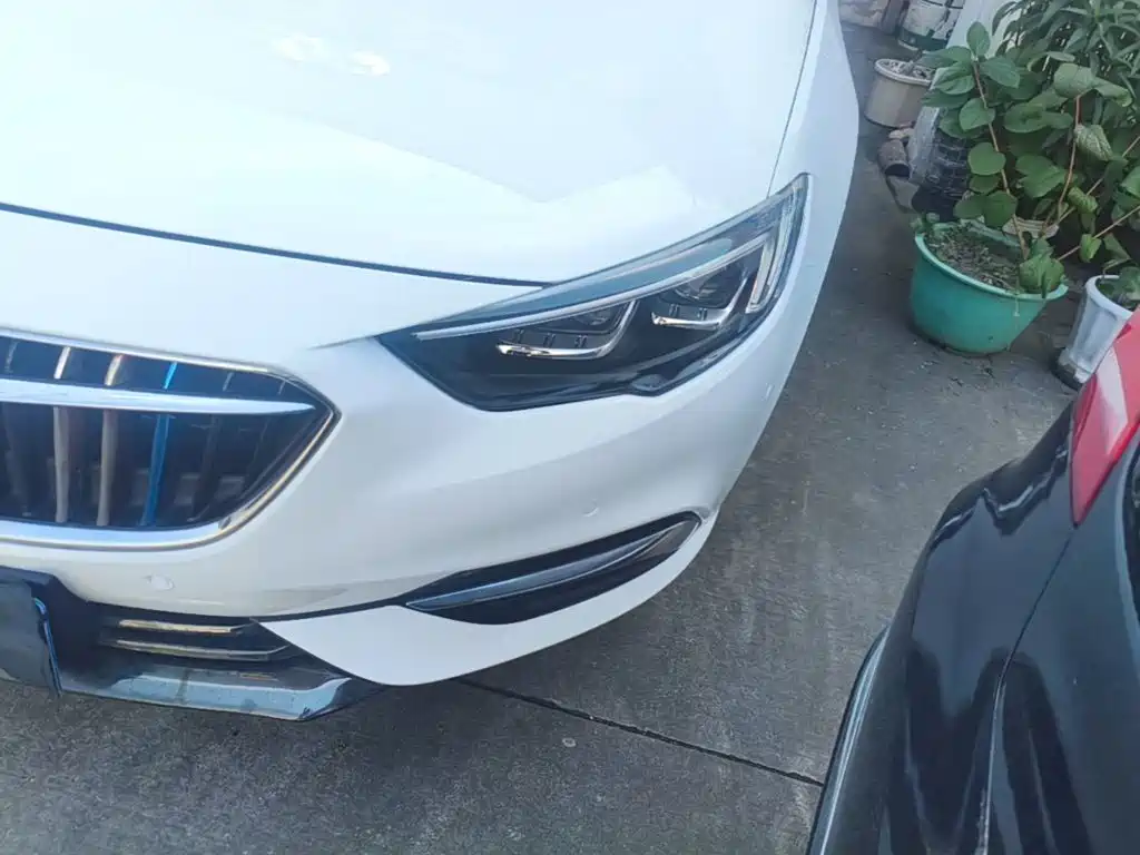 Buick Regal — миниатюра 24