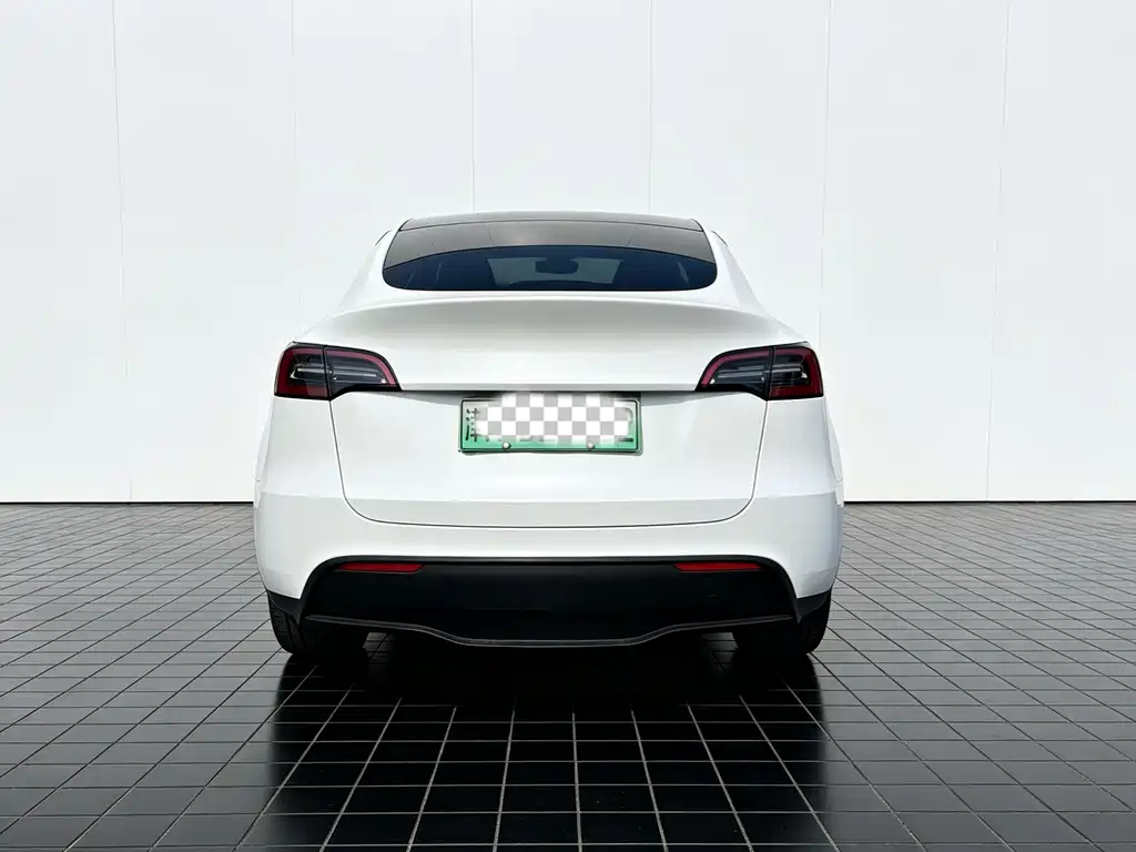 Tesla Model Y — миниатюра 6