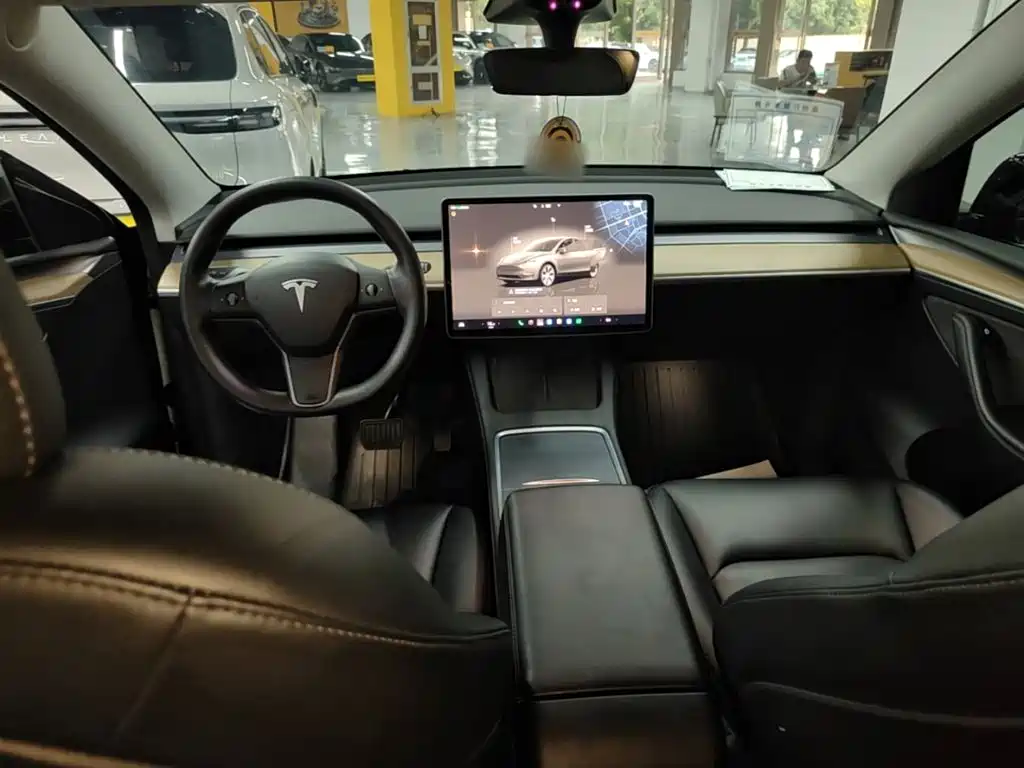 Tesla Model Y — миниатюра 10