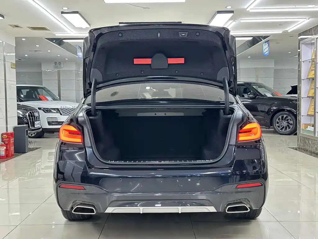 BMW 5 Series — миниатюра 7