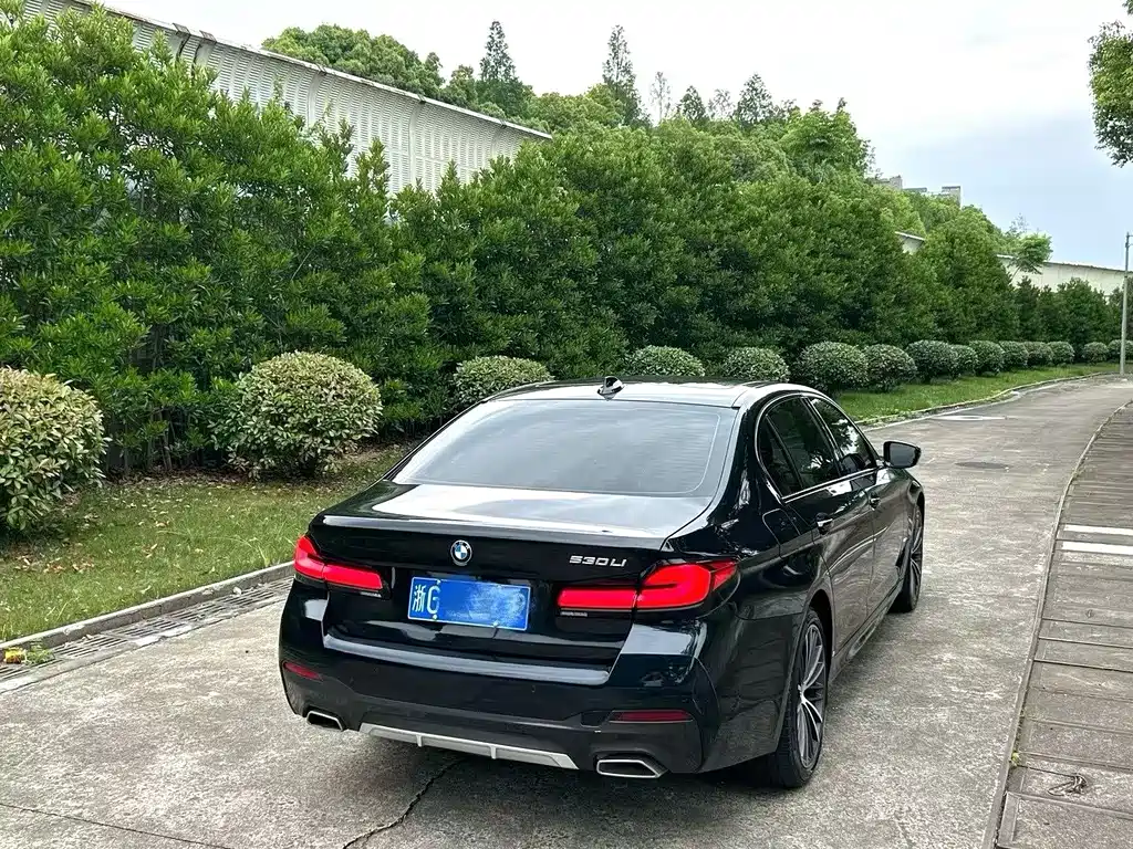 BMW 5 Series 5 2021 530Li Lead Luxury