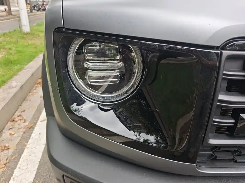 Haval Big Dog — миниатюра 7