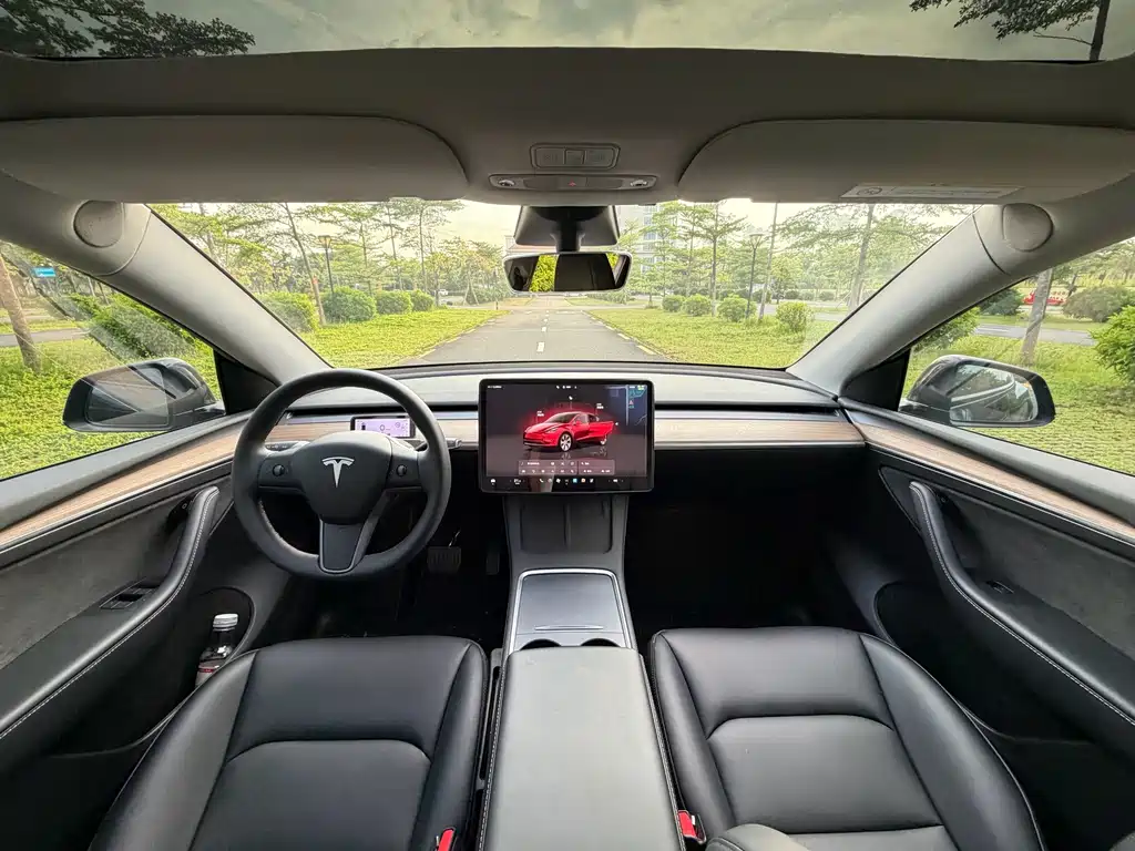 Tesla Model Y — миниатюра 6