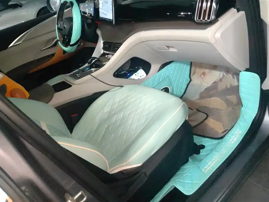 BYD SONGJIANG NEW ENERGY