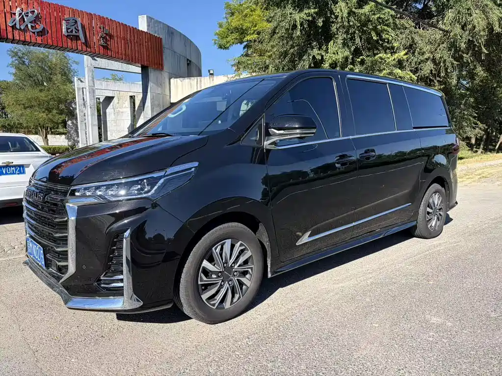 MAXUS G20