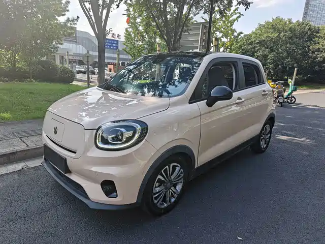 2021 Leapmotor T03
