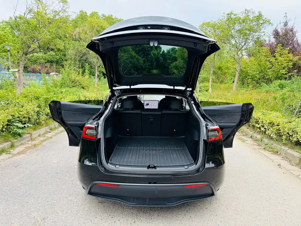 Tesla Model Y — миниатюра 11