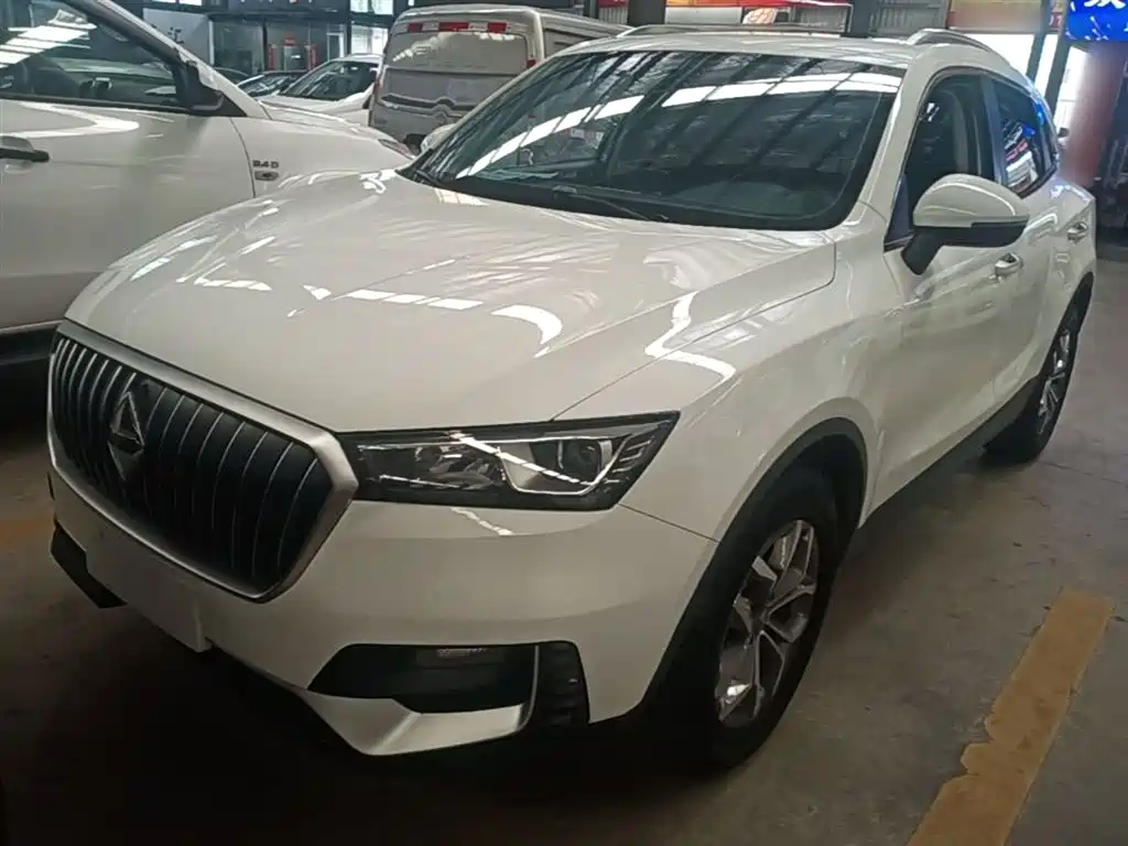 Borgward BX5 2019