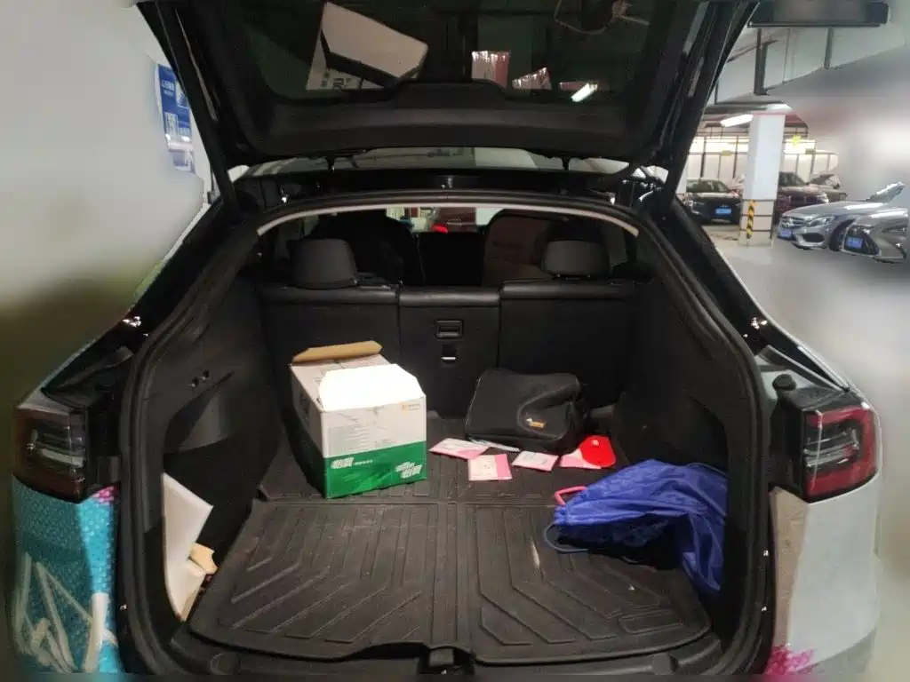Tesla Model Y — миниатюра 10