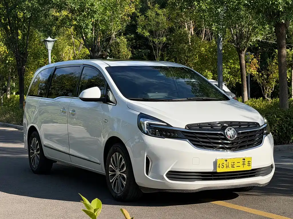 Buick GL8 — миниатюра 3