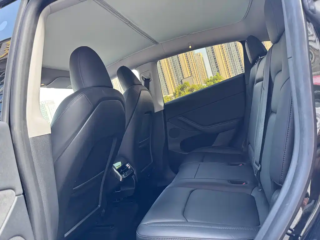 Tesla Model Y — миниатюра 12